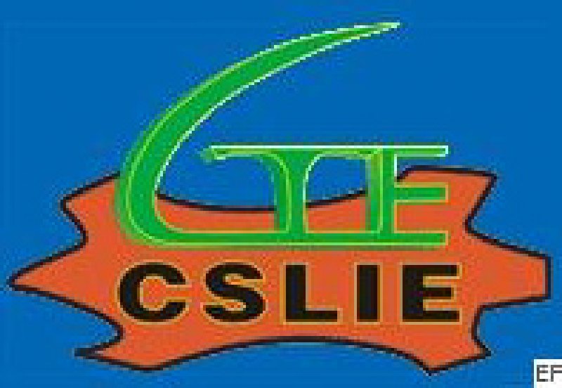 2010首屆中國(guó)(上海)國(guó)際人造革合成革工業(yè)展覽會(huì)